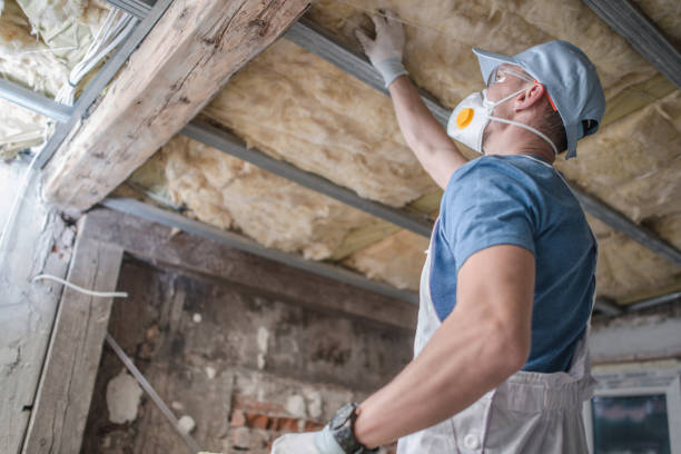 Best Residential Insulation in South Floral Park, NY