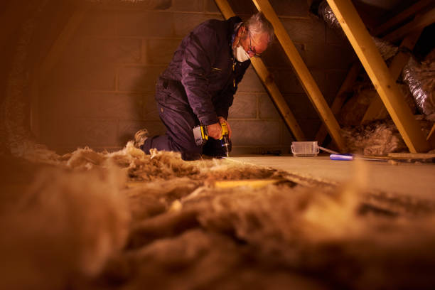 Best Insulation Installation Services in South Floral Park, NY